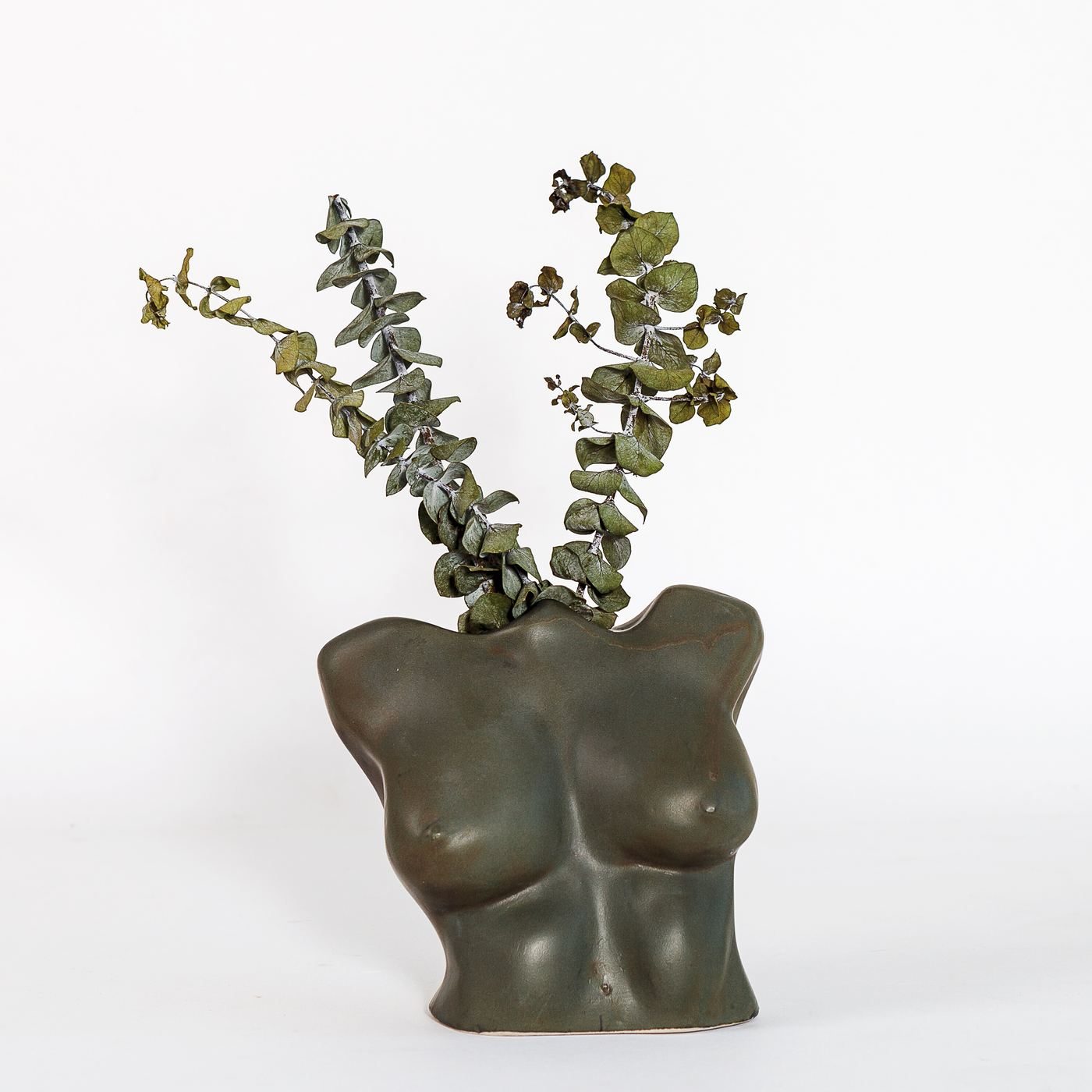 Venus Torso